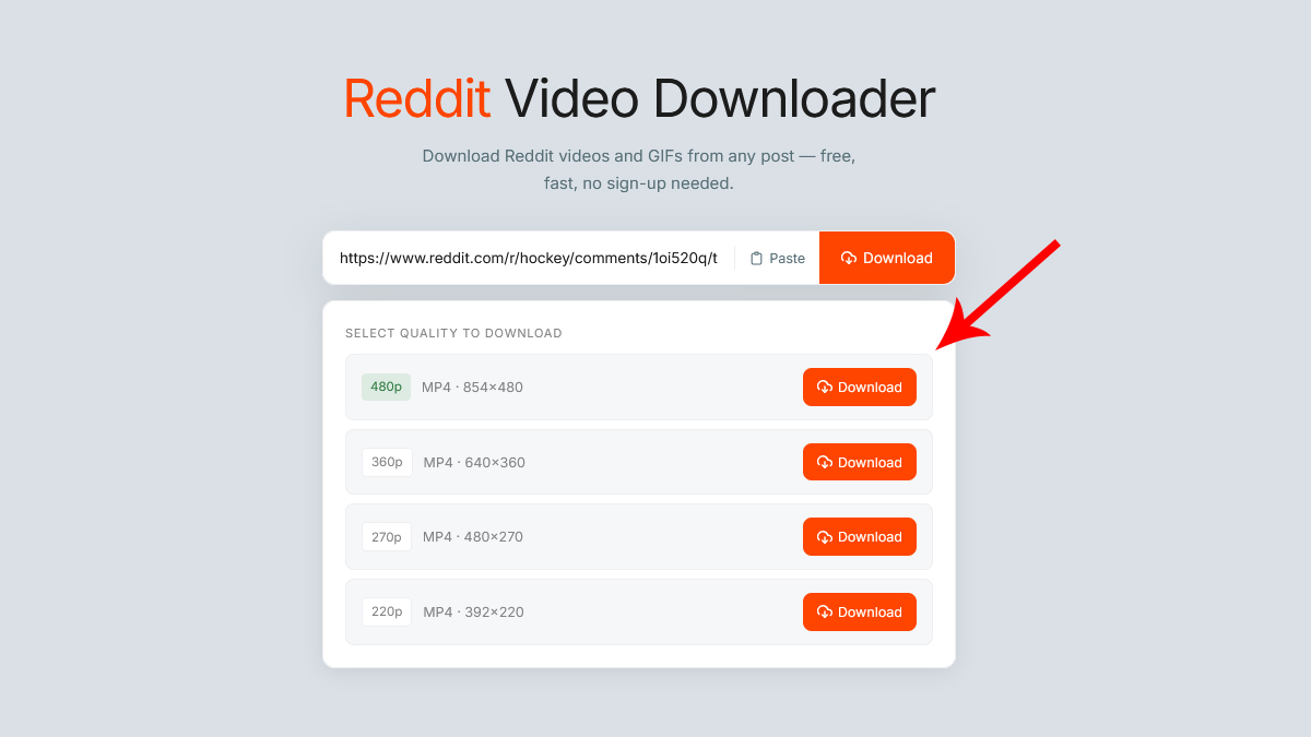Download the Video